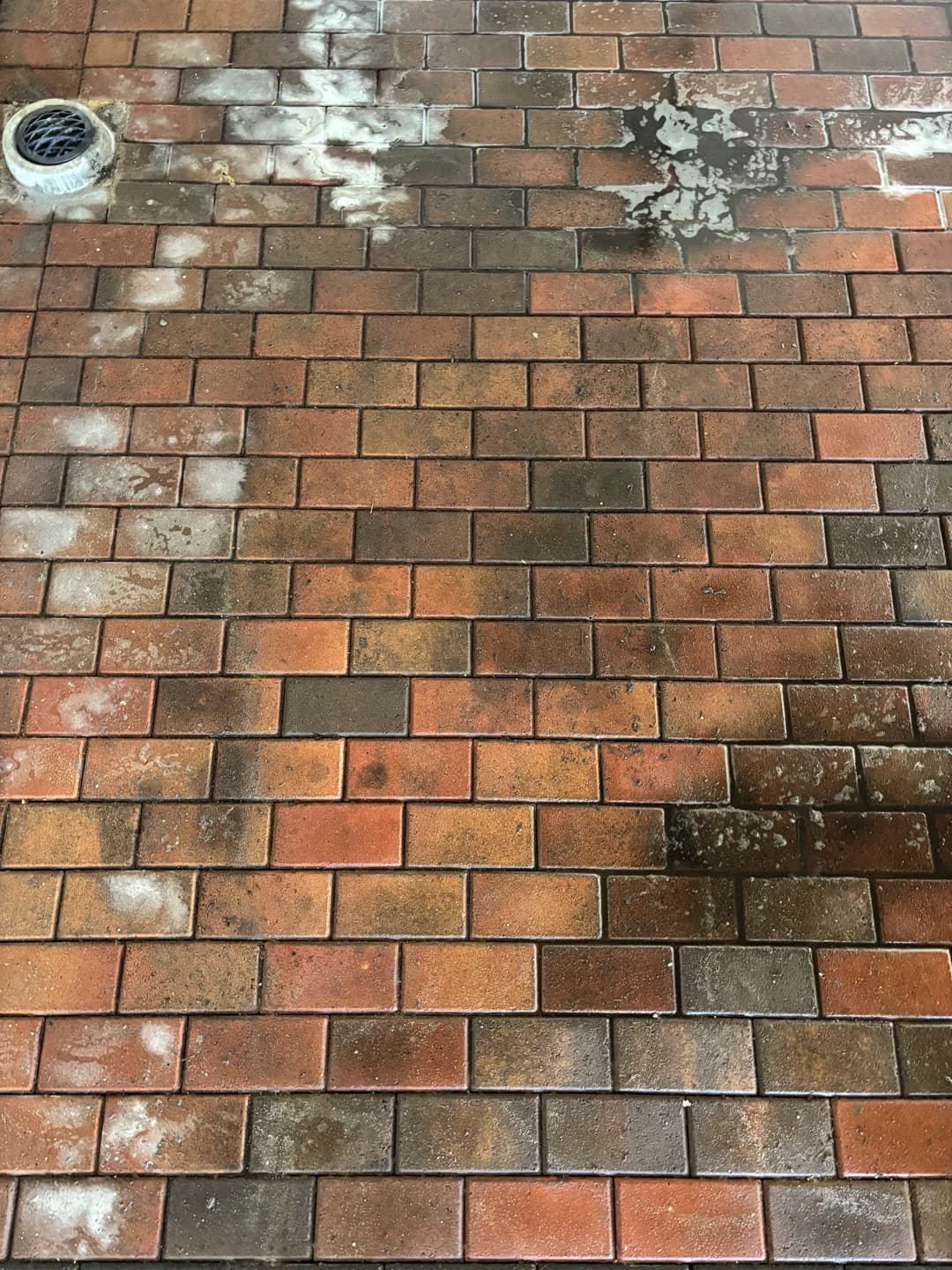 Fence cleaning before and after