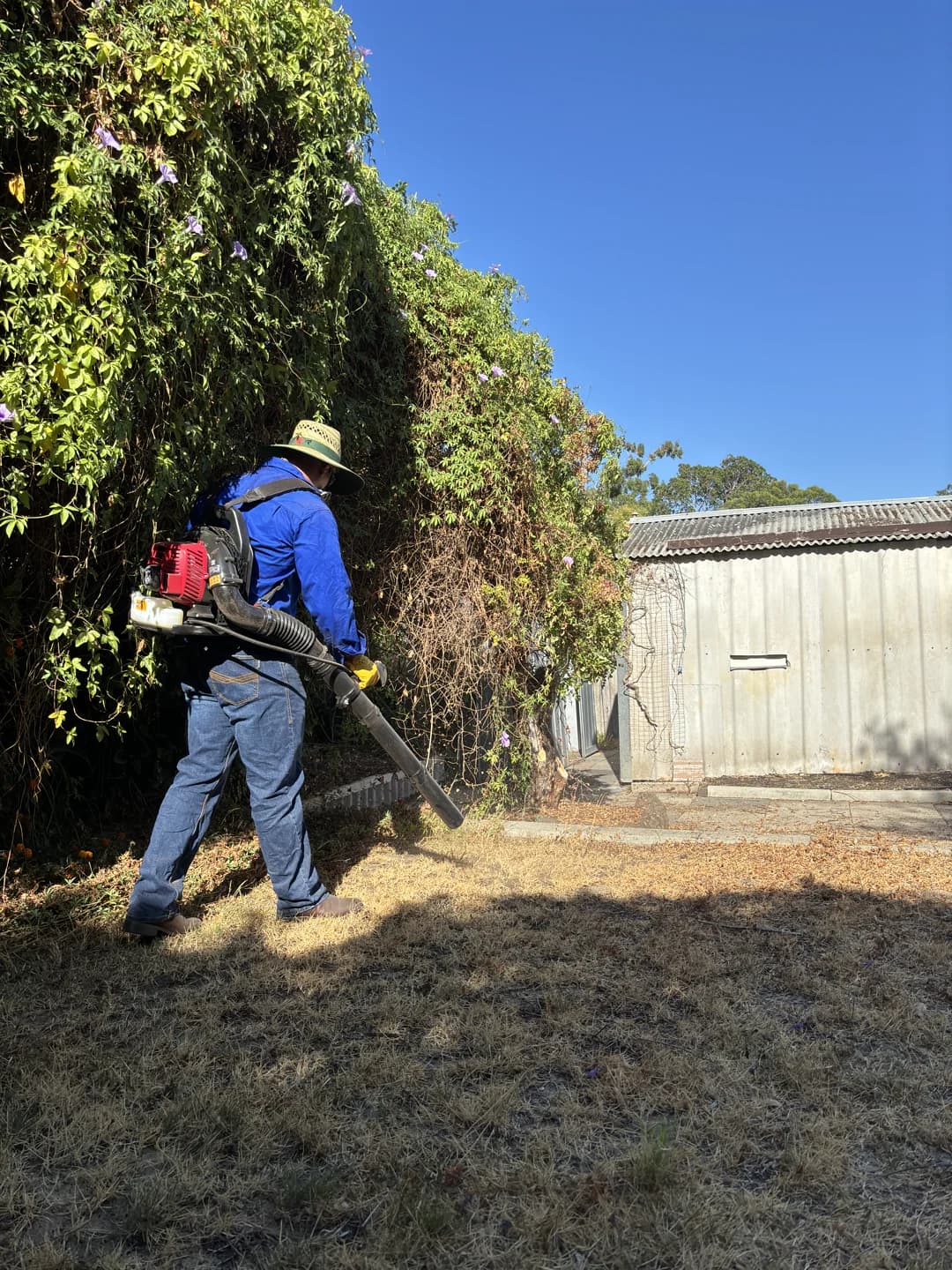 Deck restoration pressure washing